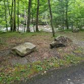 Review photo of Elkmont Campground — Great Smoky Mountains National Park by Nate H., June 15, 2019