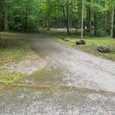 Review photo of Elkmont Campground — Great Smoky Mountains National Park by Nate H., June 15, 2019
