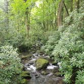 Review photo of Elkmont Campground — Great Smoky Mountains National Park by Nate H., June 15, 2019