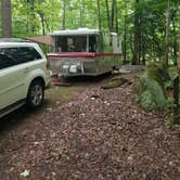 Review photo of Elkmont Campground — Great Smoky Mountains National Park by Nate H., June 15, 2019