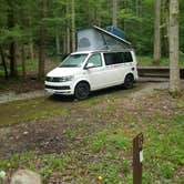 Review photo of Elkmont Campground — Great Smoky Mountains National Park by Nate H., June 15, 2019