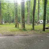 Review photo of Elkmont Campground — Great Smoky Mountains National Park by Nate H., June 15, 2019