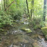 Review photo of Elkmont Campground — Great Smoky Mountains National Park by Nate H., June 15, 2019