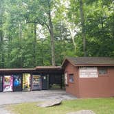 Review photo of Elkmont Campground — Great Smoky Mountains National Park by Nate H., June 15, 2019