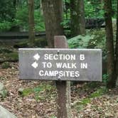Review photo of Elkmont Campground — Great Smoky Mountains National Park by Nate H., June 15, 2019