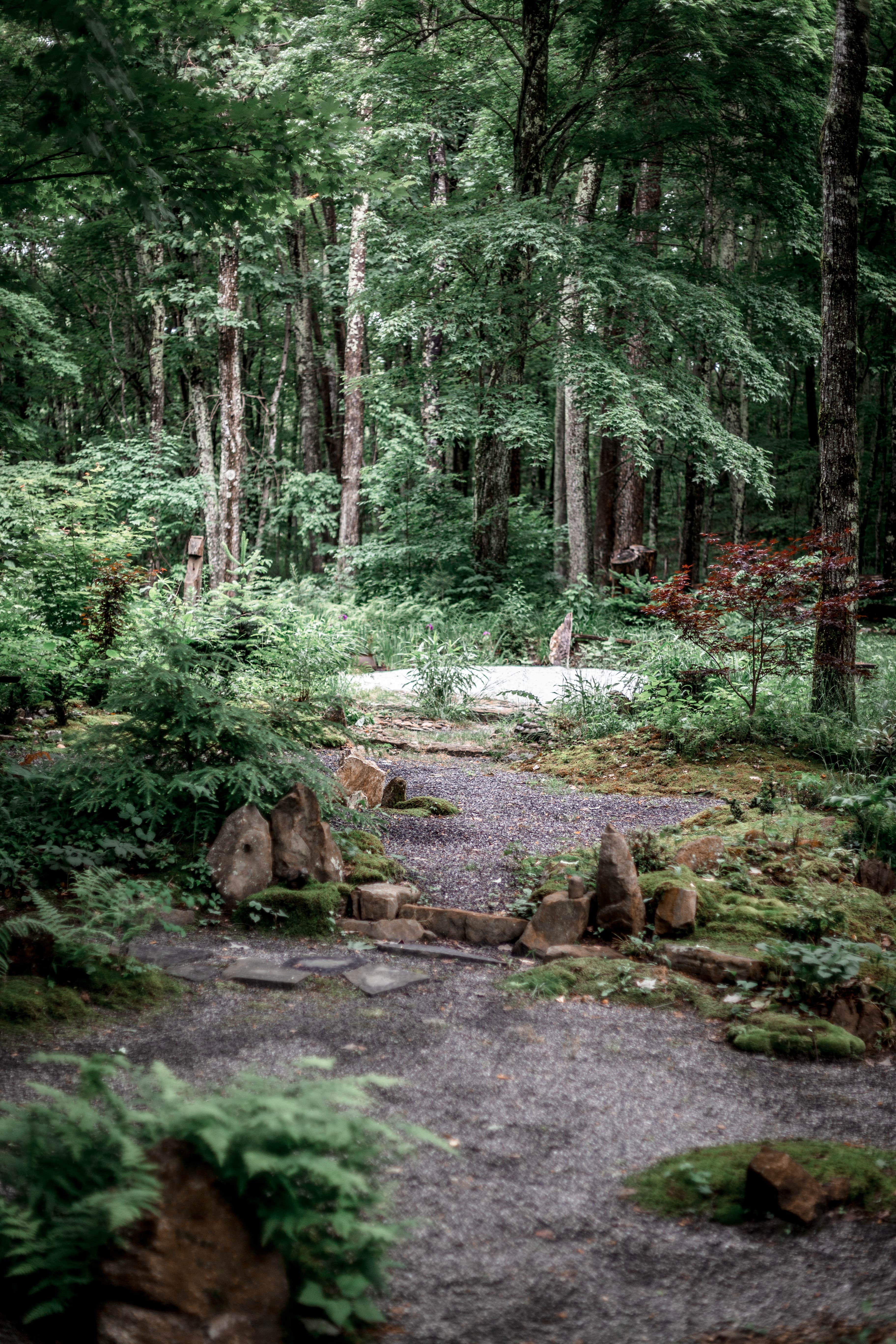 Camper submitted image from Greenheart Forest - 5