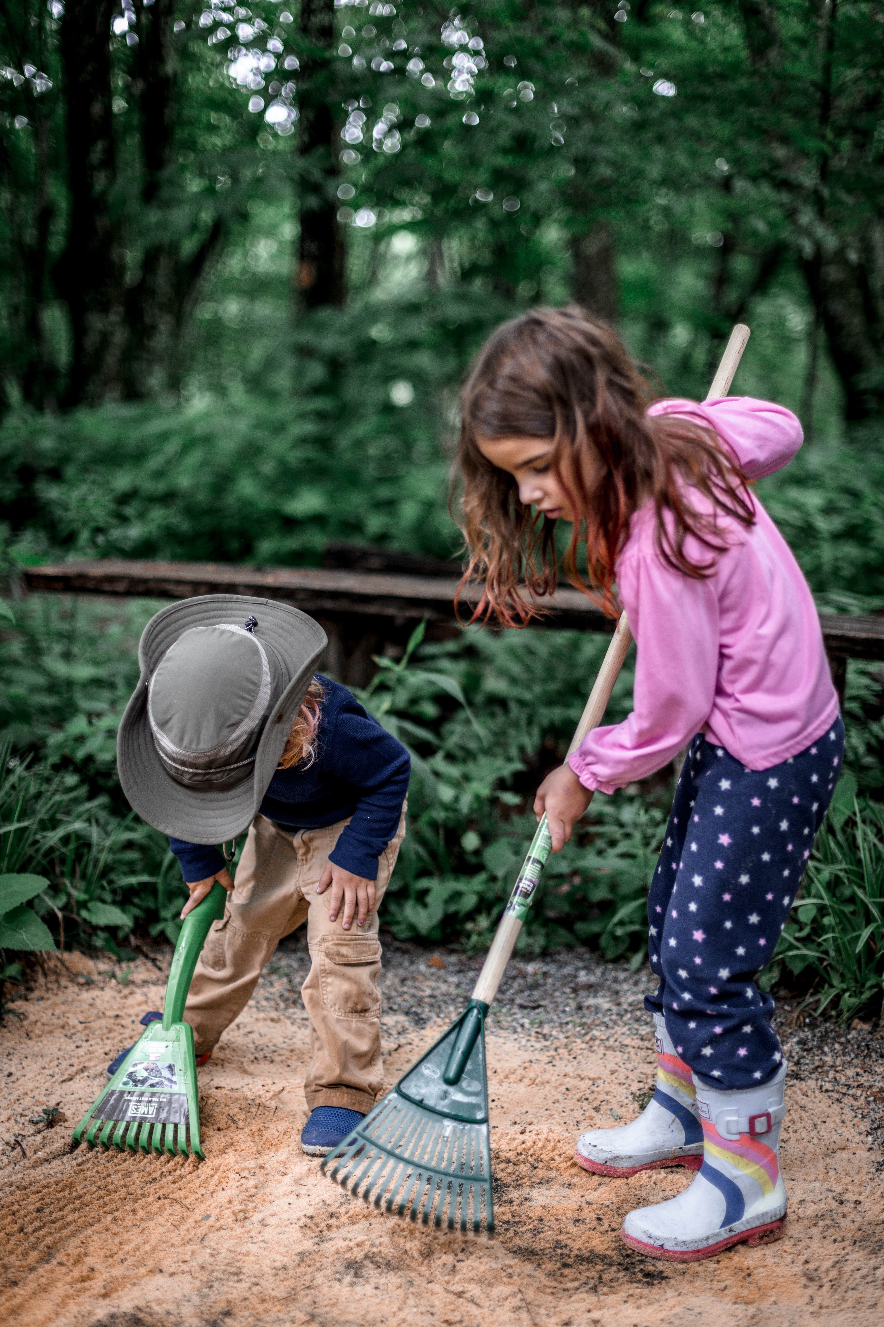 Camper submitted image from Greenheart Forest - 3