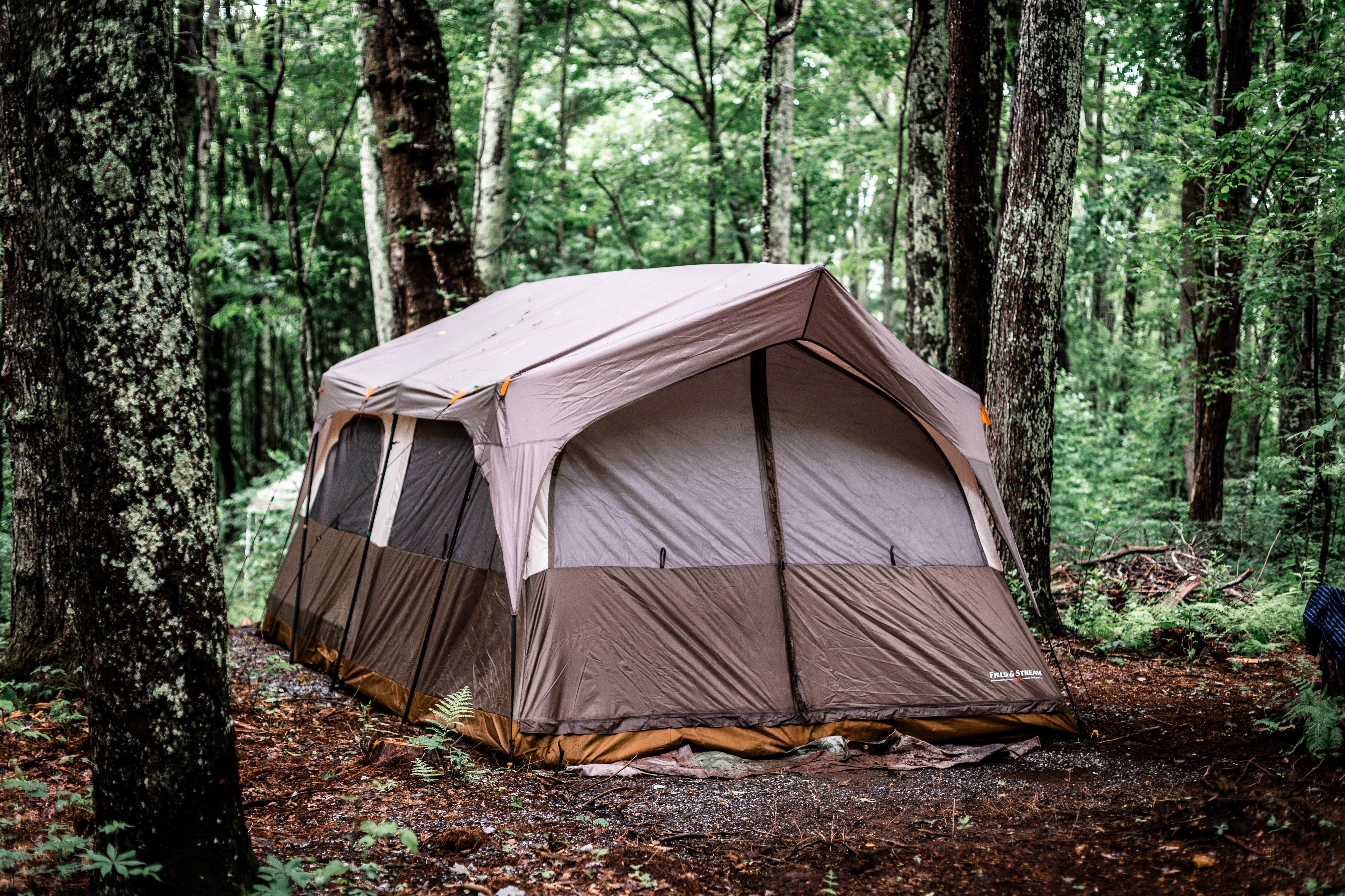 Camper submitted image from Greenheart Forest - 3