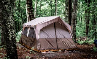 Stephanie J.'s photo at Greenheart Forest near Hot Springs, NC