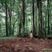 Review photo of Greenheart Forest by Stephanie J., June 15, 2019