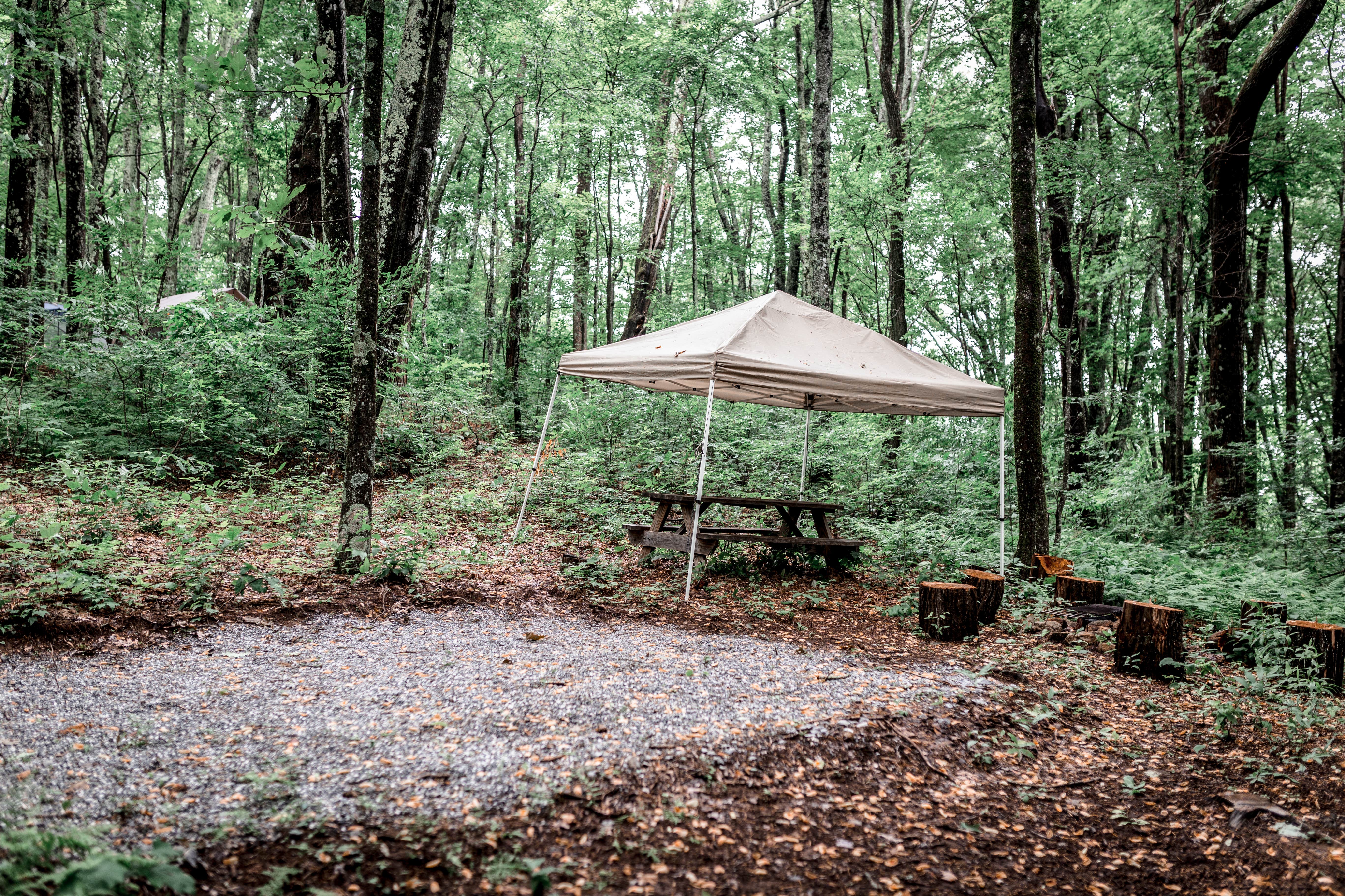 Camper-submitted photo at Greenheart Forest near Marshall, NC