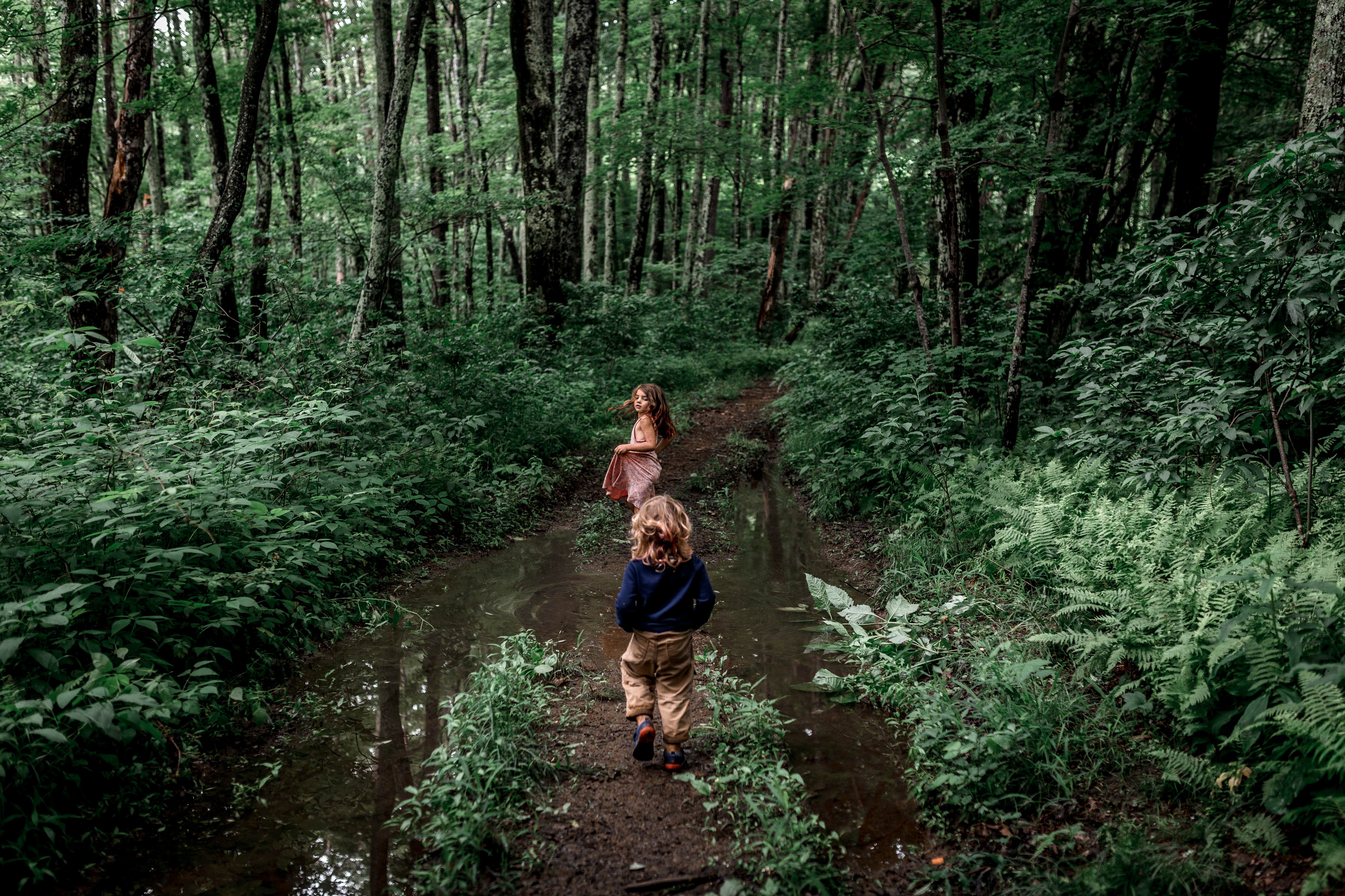 Camper-submitted photo at Greenheart Forest near Marshall, NC