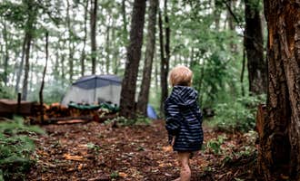 Camping near Harmon Den Area: Greenheart Forest, Hot Springs, North Carolina