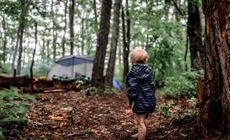 Stephanie J.'s photo at Greenheart Forest near Hot Springs, NC