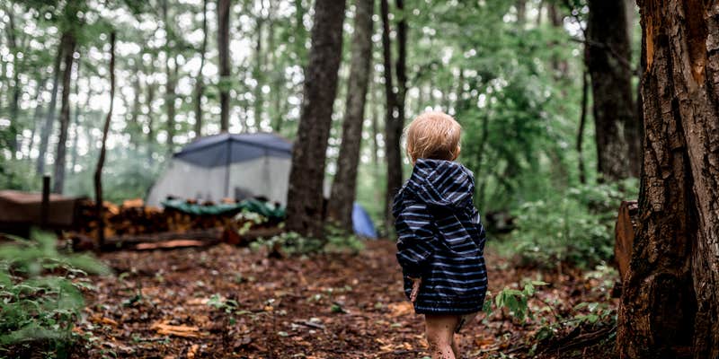 Camper submitted image from Greenheart Forest
