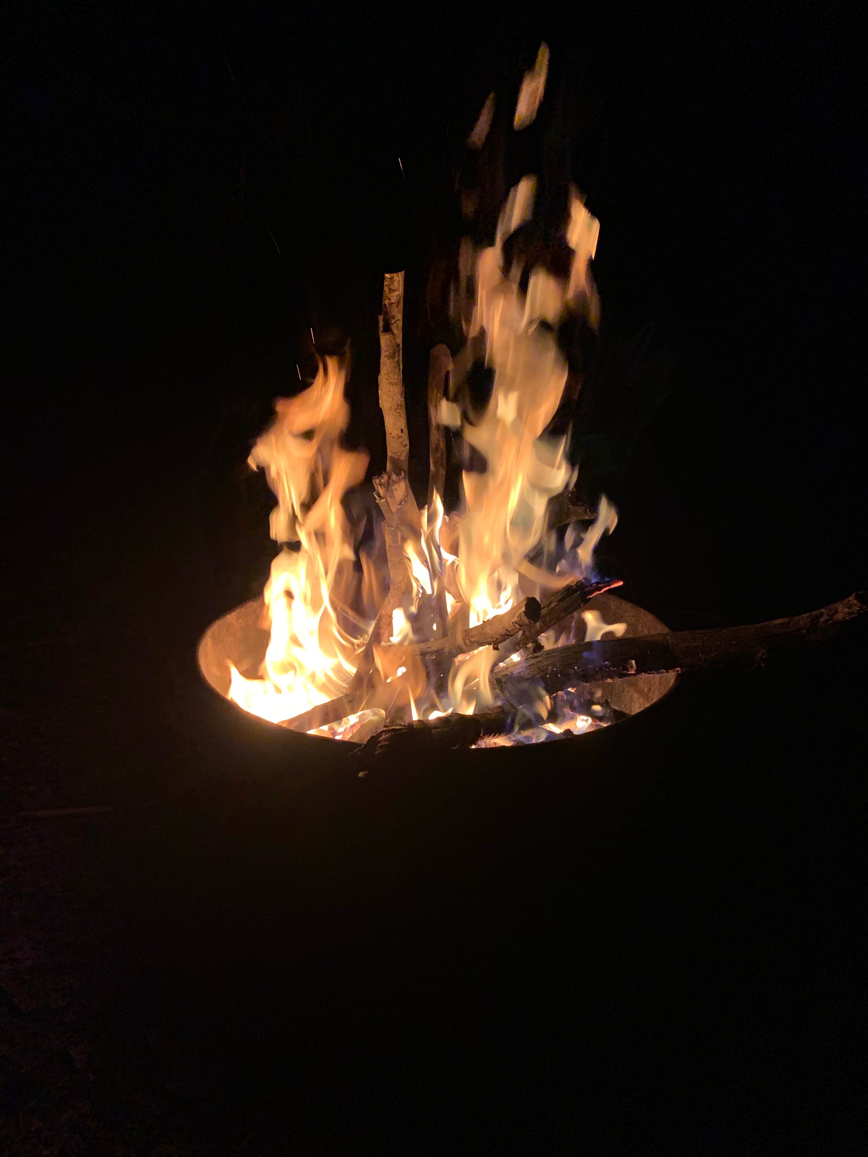 Camper submitted image from Belle & Beau Acres - 4