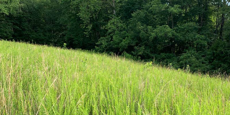 Camper submitted image from Belle and Beau Acres