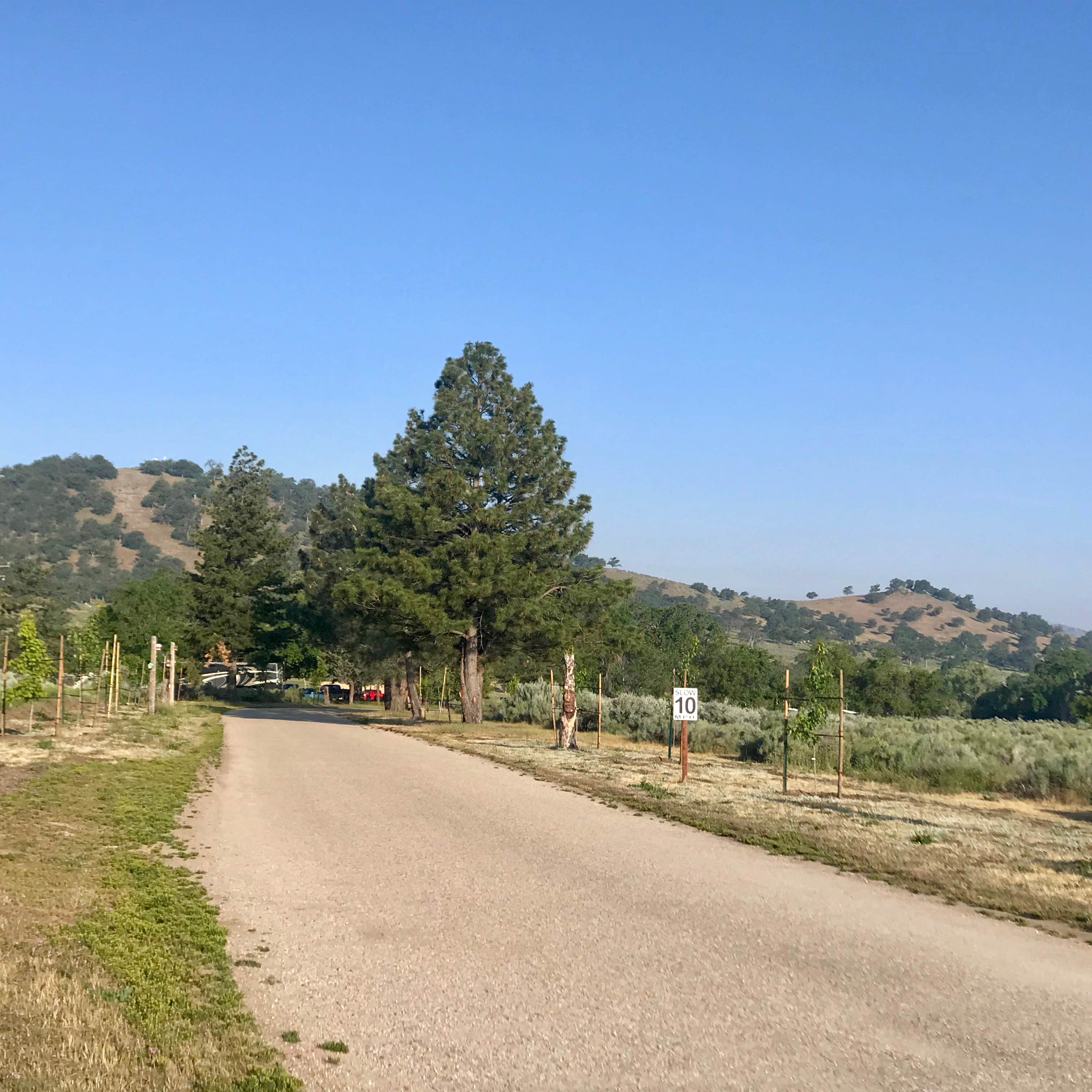 Camper submitted image from Brite Lake Aquatic Recreation Area - 5