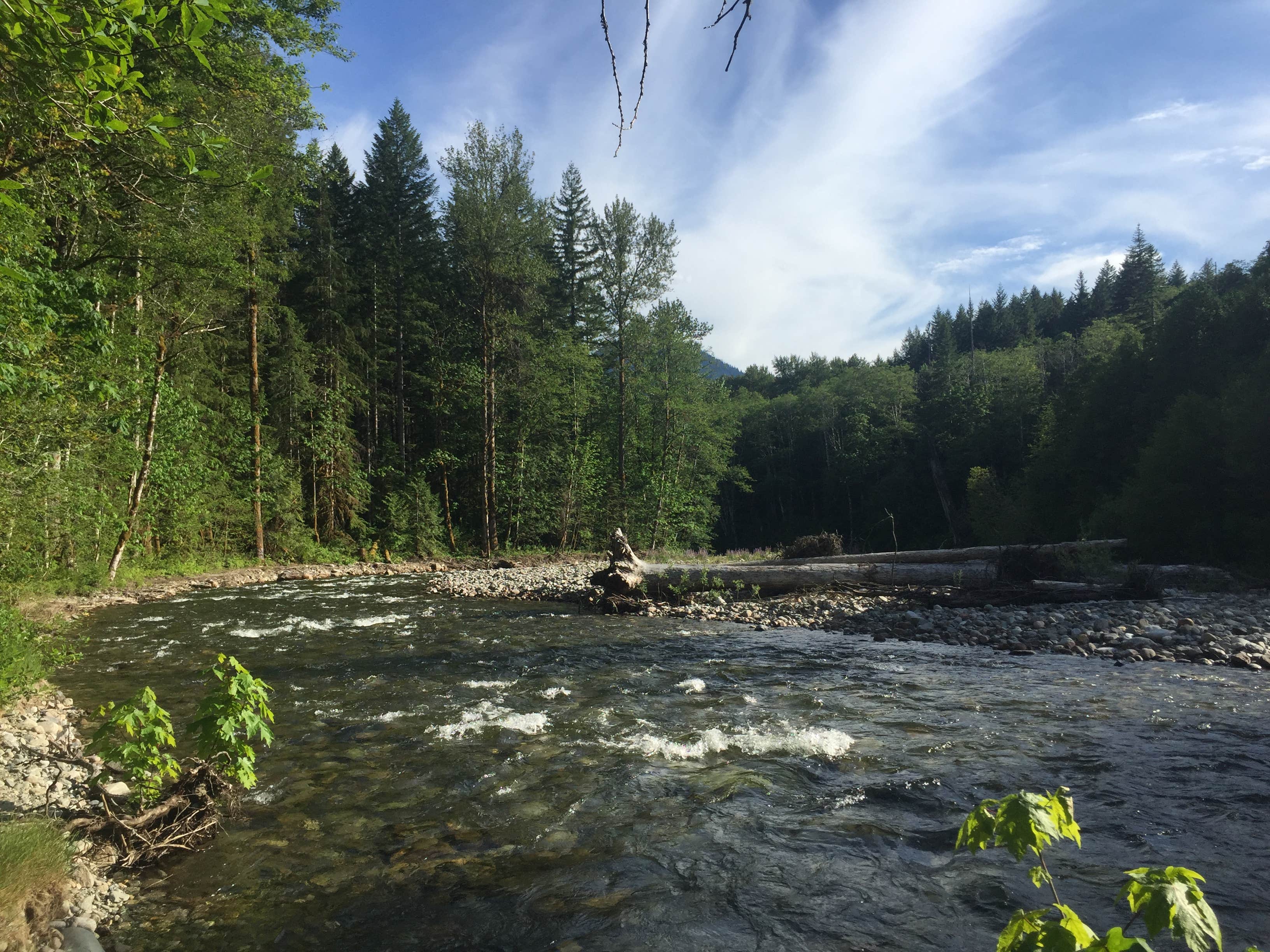 Camper submitted image from Beckler River Campground - 4