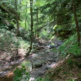 Review photo of Shades State Park Campground by Scott M., June 15, 2019