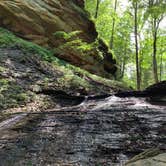 Review photo of Shades State Park Campground by Scott M., June 15, 2019