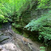 Review photo of Shades State Park Campground by Scott M., June 15, 2019