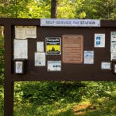 Review photo of Chequamegon National Forest Day Lake Campground by Art S., June 15, 2019