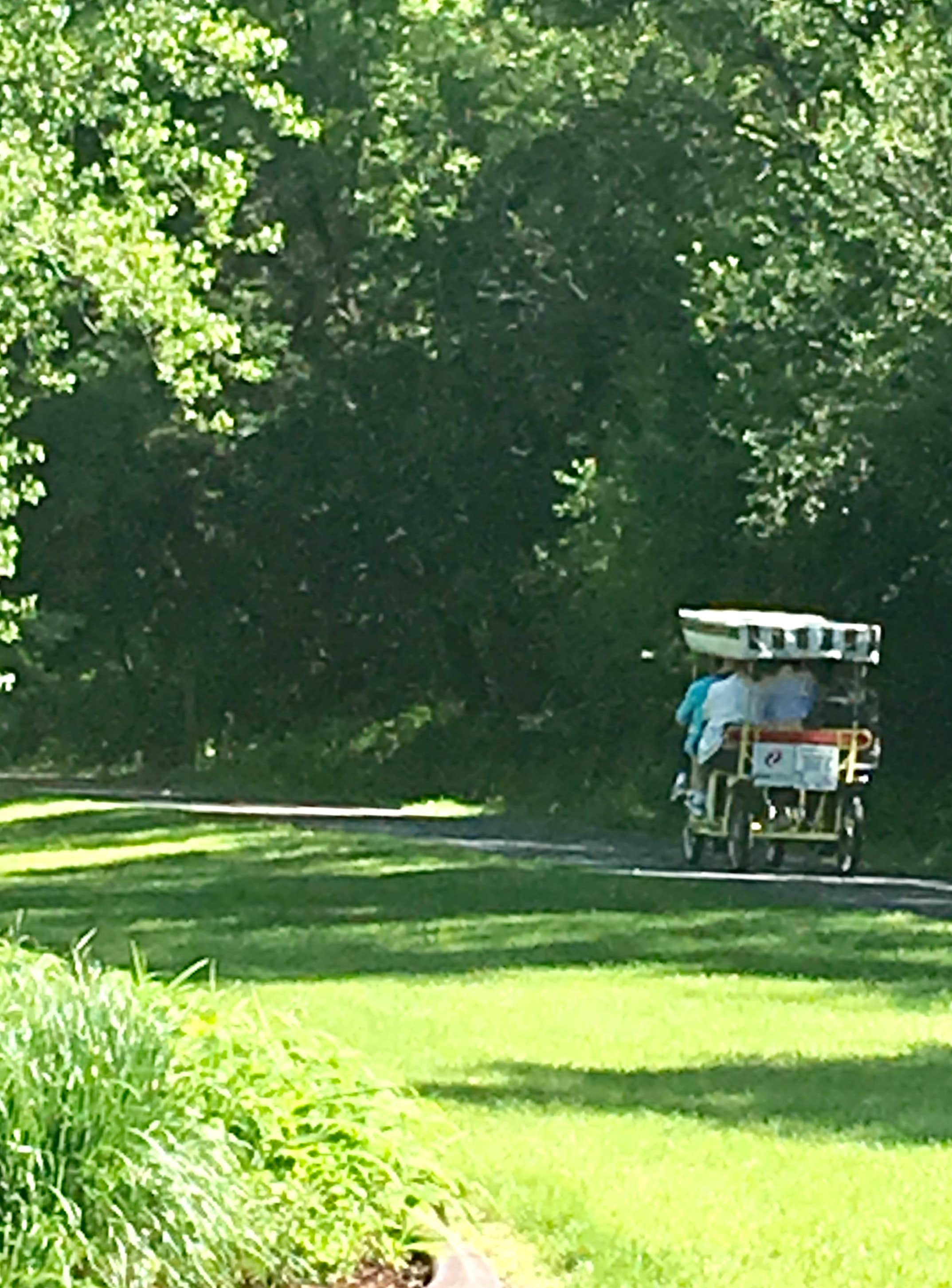 Camper submitted image from Holden City Park on the Lake Woebegone Bike Trail - 2