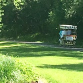 Review photo of Holden City Park on the Lake Woebegone Bike Trail by Janet R., June 15, 2019