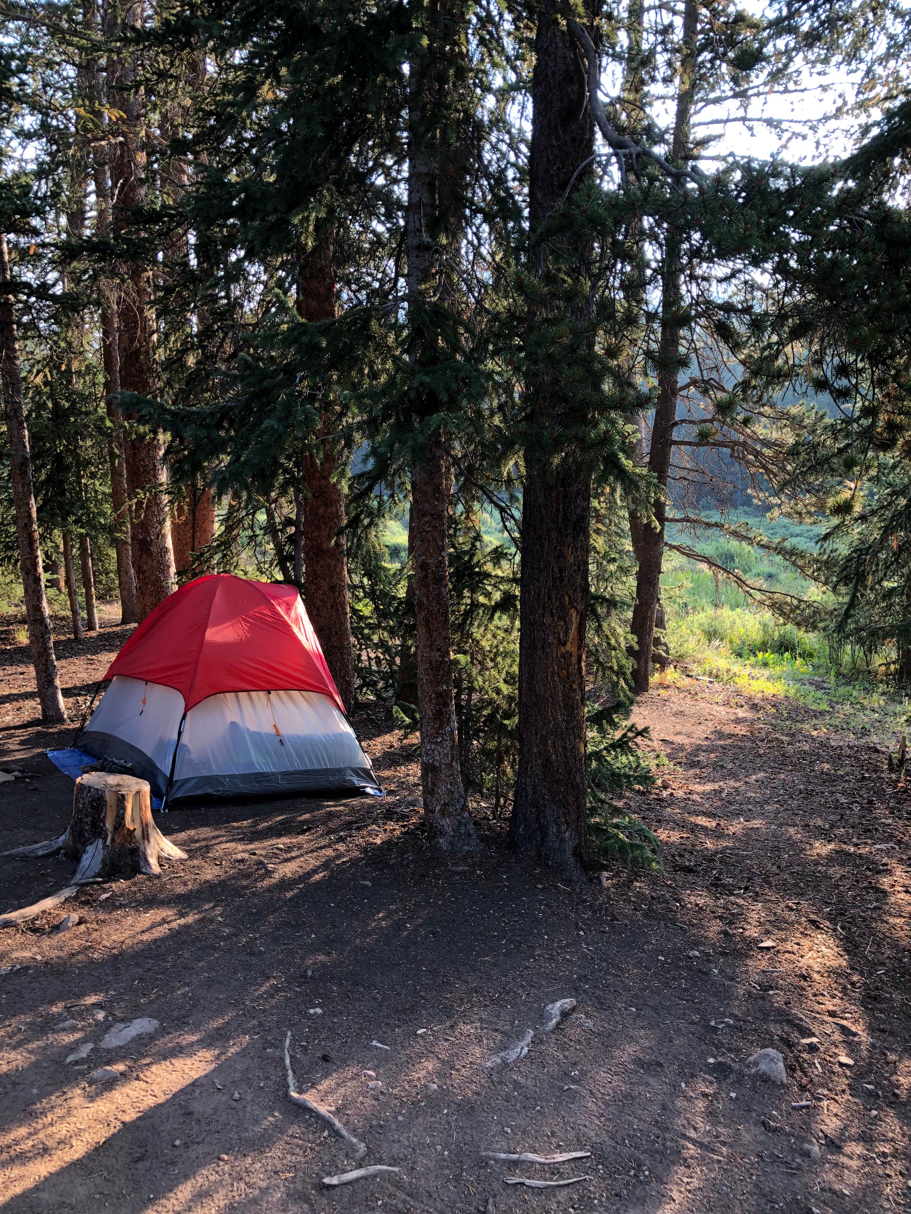 Megan W.'s photo at Selkirk Campground near Blue River, CO