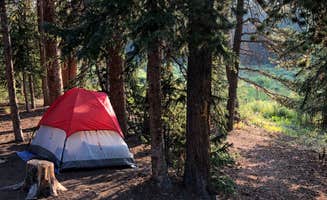 Megan W.'s photo at Selkirk Campground near Fairplay, CO