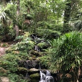 Review photo of Rainbow Springs State Park Campground by Jenn B., June 15, 2019