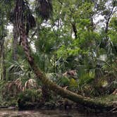 Review photo of Rainbow Springs State Park Campground by Jenn B., June 15, 2019