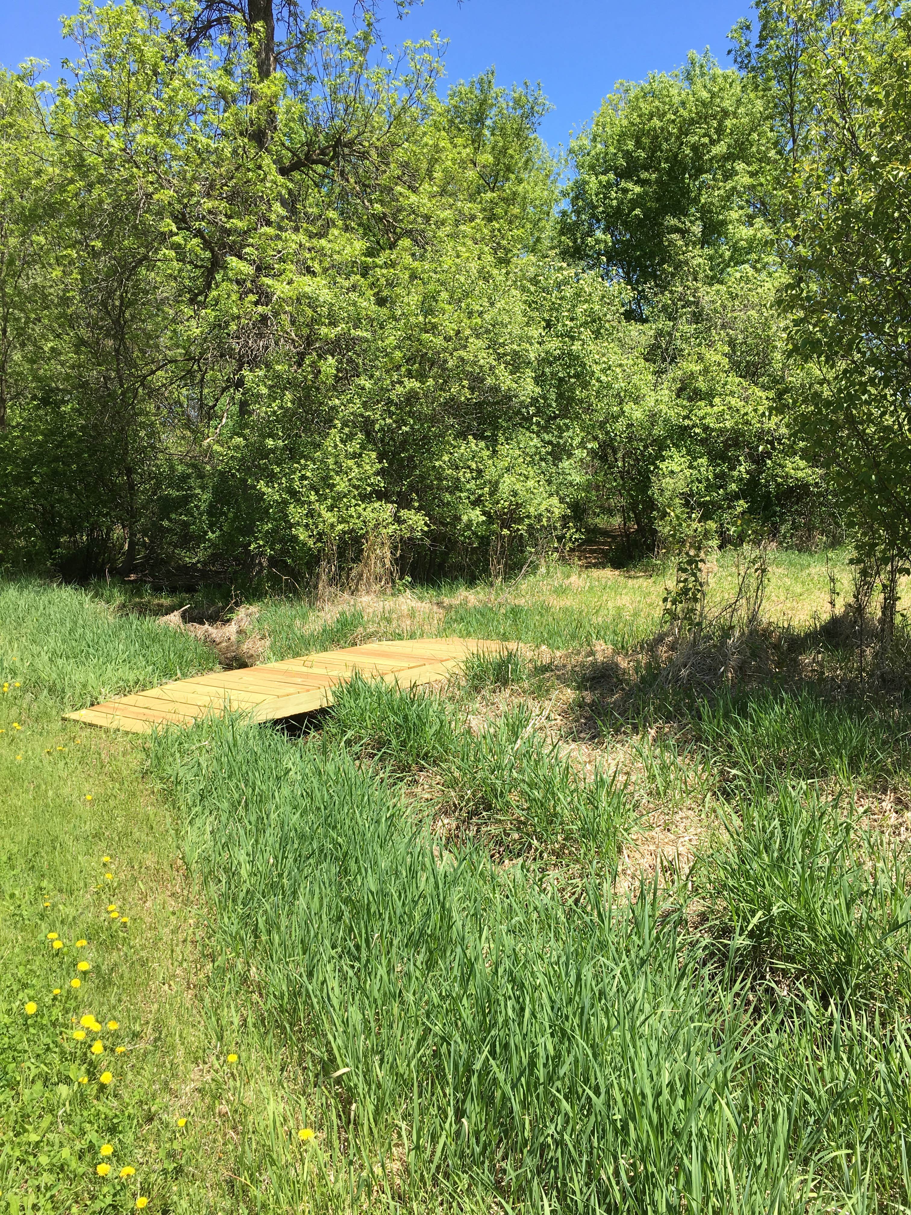 Camper-submitted photo at Stone Creek Farm near Grantsburg, WI