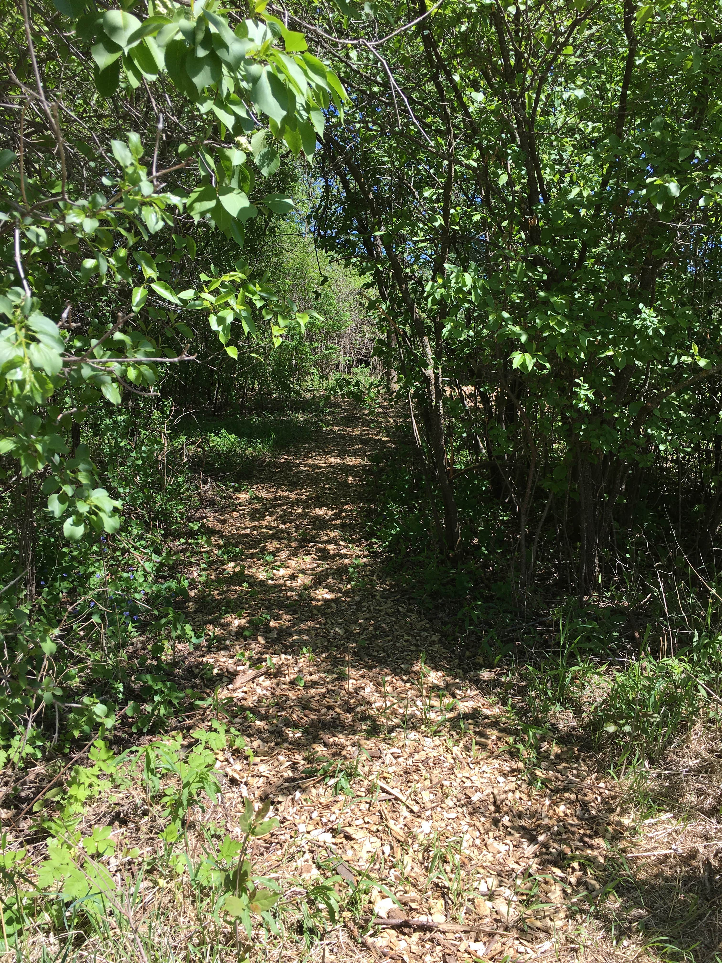 Camper-submitted photo at Stone Creek Farm near Grantsburg, WI