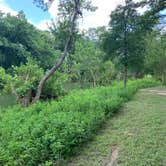 Review photo of McKinney Falls State Park Campground by Steve & Ashley  G., June 15, 2019