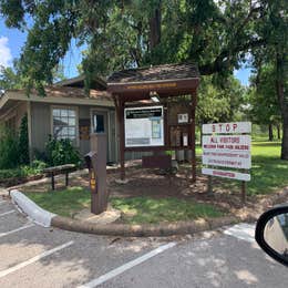 Bastrop State Park Campground