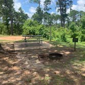 Review photo of Bastrop State Park Campground by Steve & Ashley  G., May 27, 2019