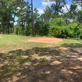 Review photo of Bastrop State Park Campground by Steve & Ashley  G., May 27, 2019