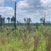 Review photo of Bastrop State Park Campground by Steve & Ashley  G., May 27, 2019