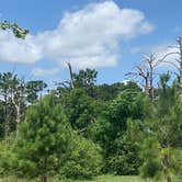 Review photo of Bastrop State Park Campground by Steve & Ashley  G., May 27, 2019