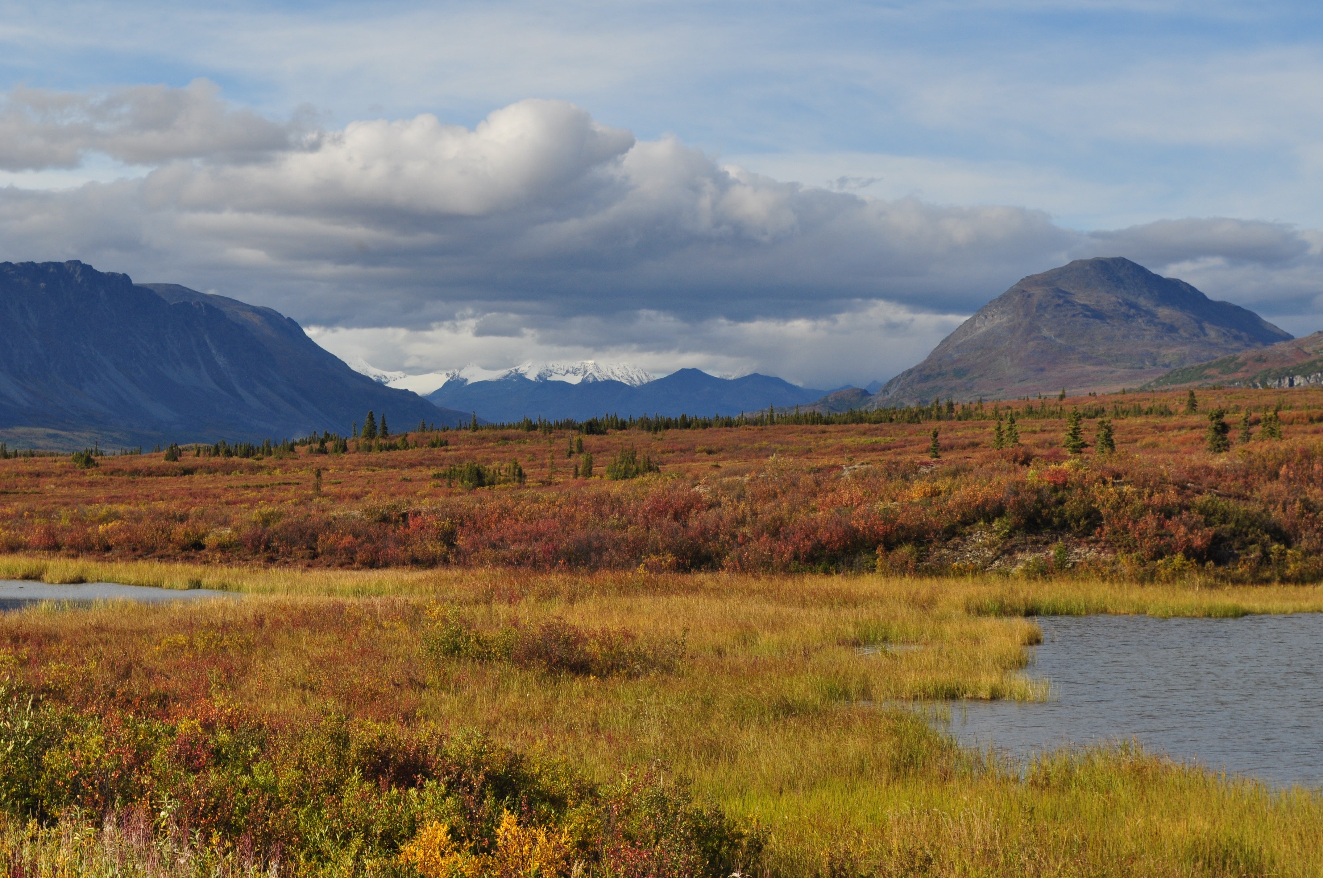 Tangle Lakes and the Denali Highway
