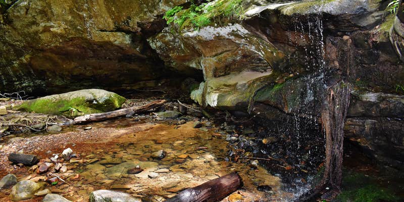 Camper submitted image from Pennyrile Forest State Resort Park