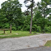 Review photo of Pennyrile Forest State Resort Park by Myron C., June 15, 2019