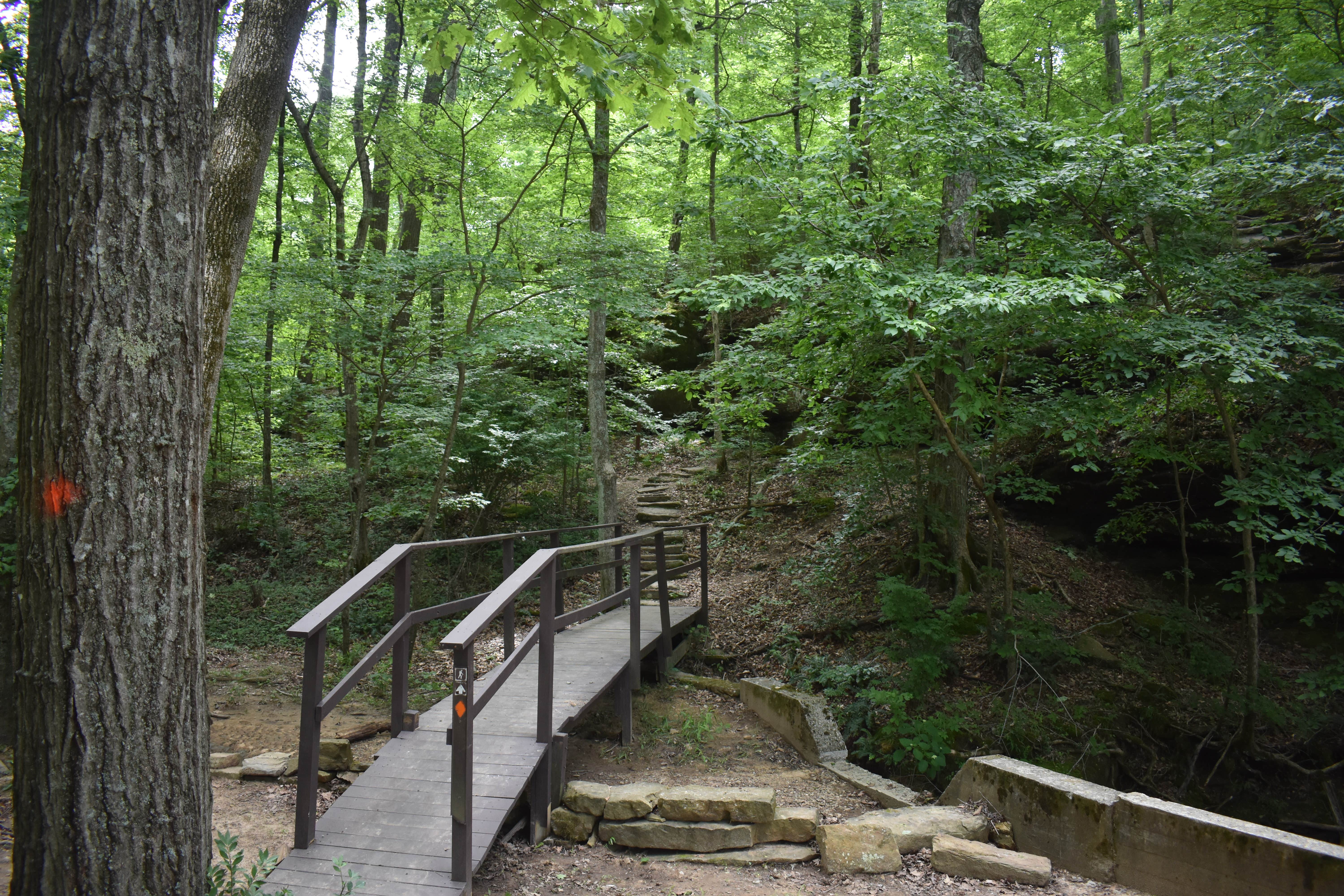 Camper-submitted photo at Pennyrile Forest State Resort Park near Cadiz, KY