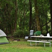 Review photo of KOA Campground Kentucky Lakes Prizer Point by Myron C., June 16, 2019