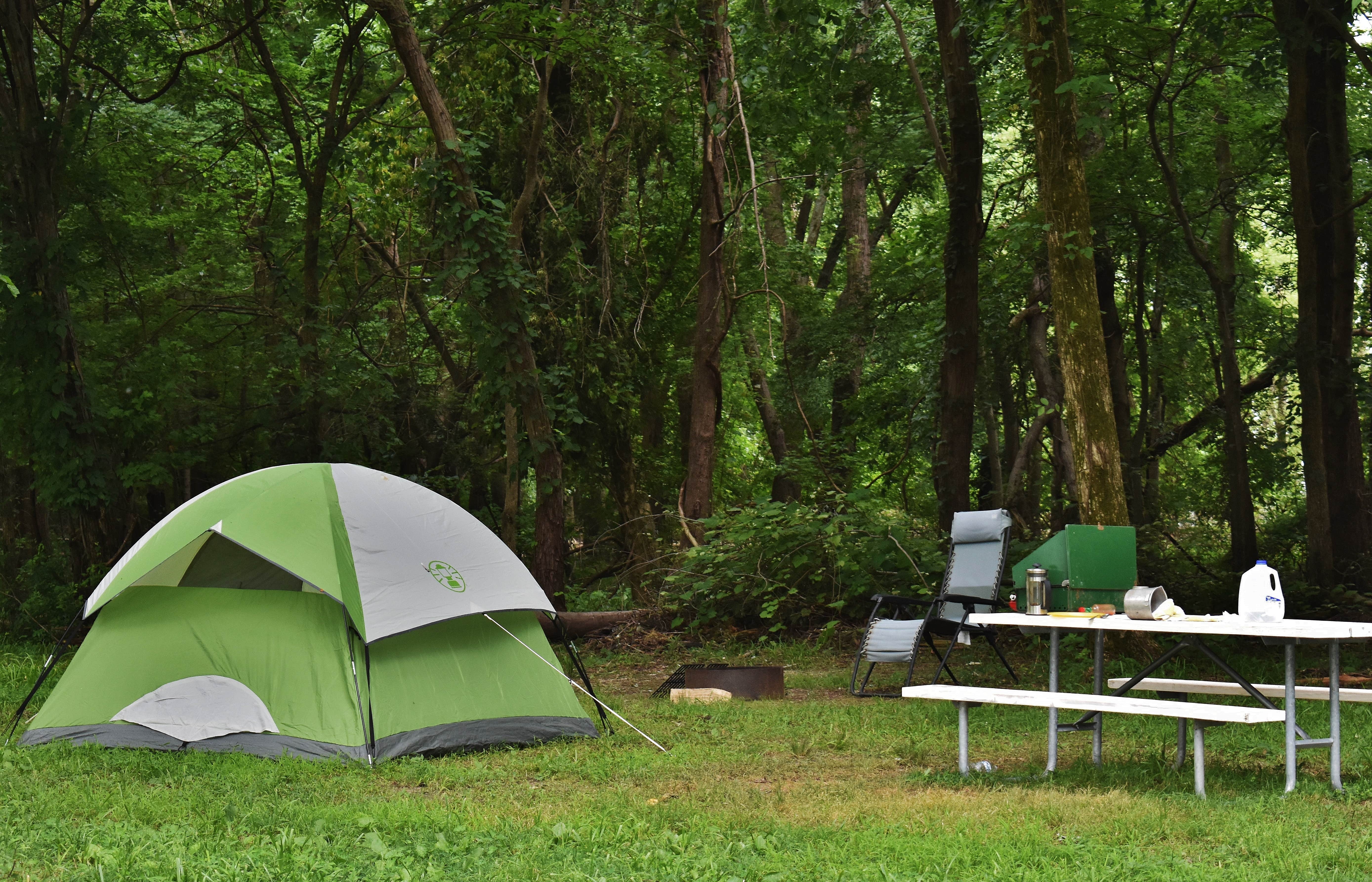 Camper submitted image from KOA Campground Kentucky Lakes Prizer Point - 4