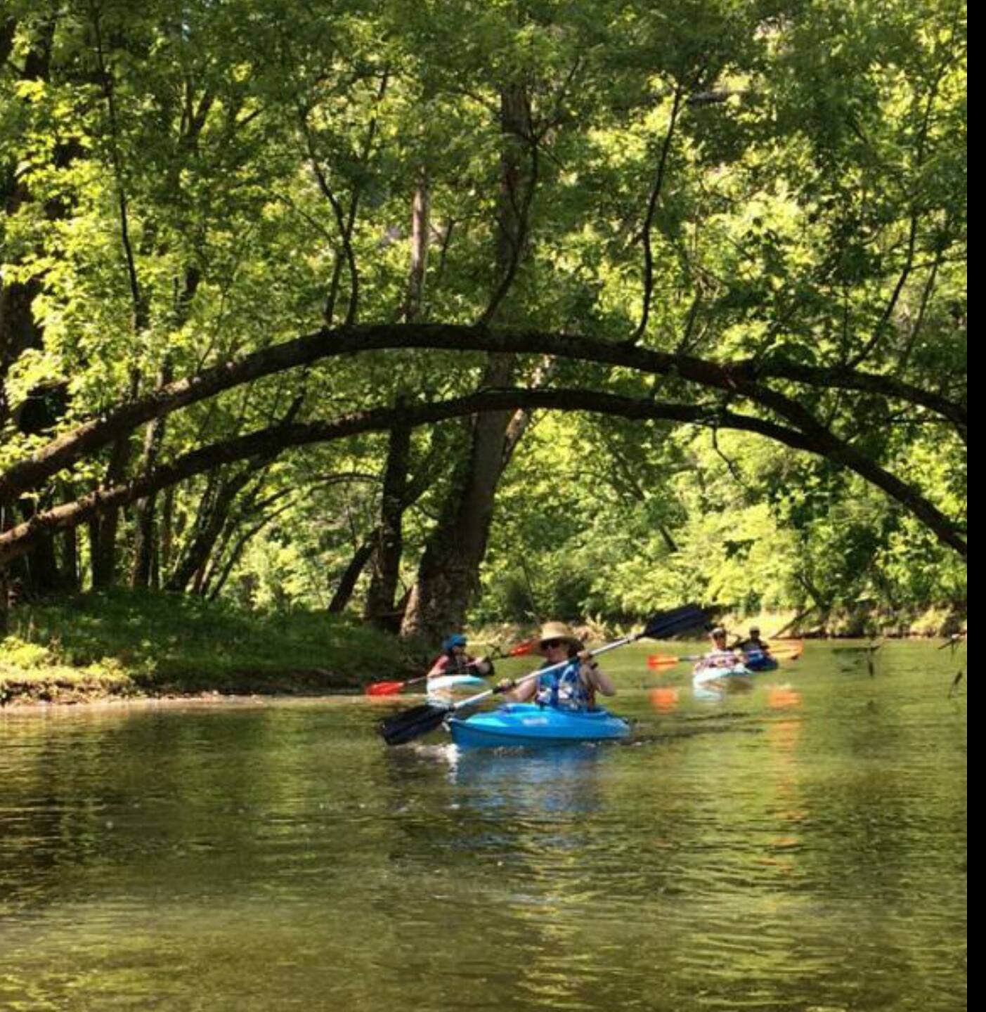 Escape To Tranquility: Your Guide To Kansas Longview Park (Perry Lake)