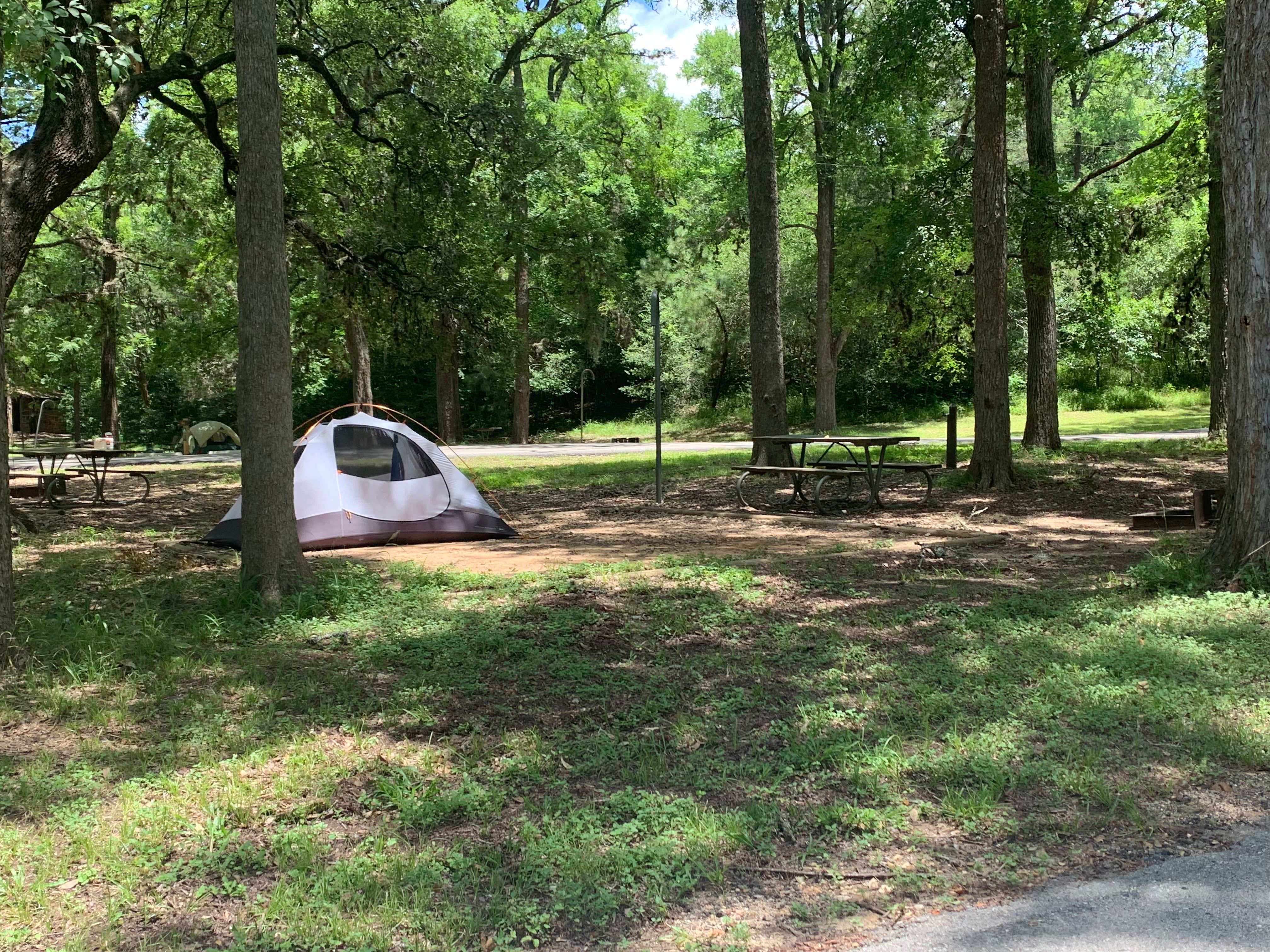 Steve & Ashley  G.'s photo at Buescher State Park Campground near Somerville Lake