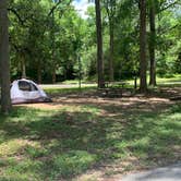 Review photo of Buescher State Park Campground by Steve & Ashley  G., June 16, 2019